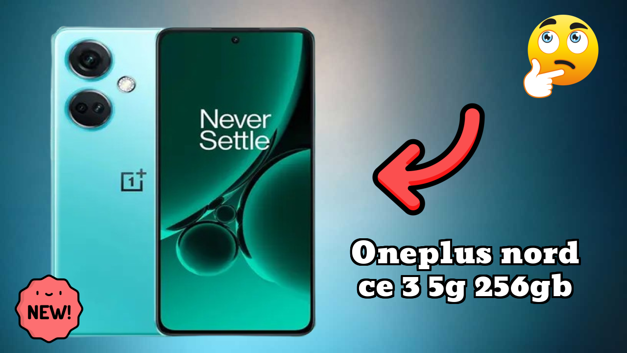 OnePlus Nord CE 3 5G 256GB Camera Review: 50 MP + 8 MP + 2 MP Rear Camera Photo Quality